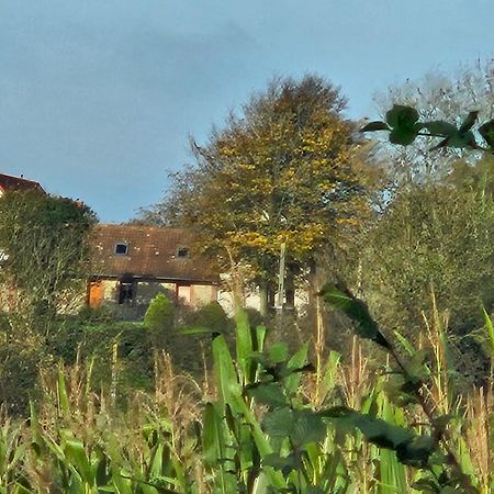 Gite Marie Le Bellanoy Wirwignes Exterior photo